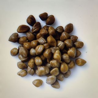ALCAPARRAS