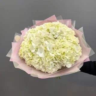 Bonita Flor