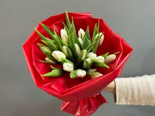 Ramo de 25 tulipanes blancos