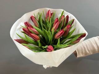 Ramo de 25 tulipanes rojo