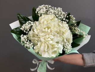 Ramo de una hortensia blanca