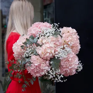 Pétalo Rosa