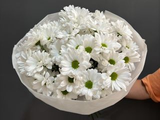 Ramo de 11 crisantemos blancos