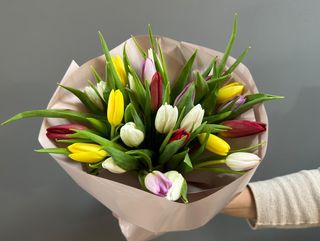 Ramo de 25 tulipanes mixtos