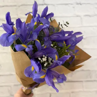 Iris!