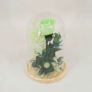 CUPULA ROSA ETERNA VERDE