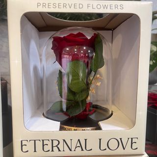 CUPULA ROSA ETERNA TE QUIERO