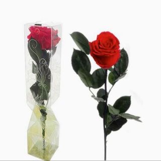 ROSA ETERNA ROJA TALLO LARGO