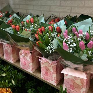 CAJA DE TULIPANES