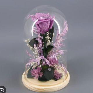 CÚPULA DE ROSA ETERNA MORADA