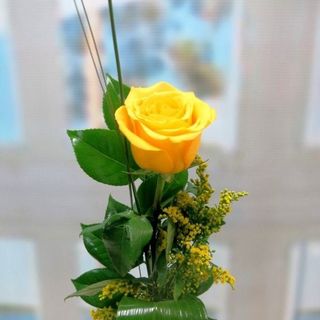 ROSA UNITARIA AMARILLA