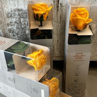 ROSA ETERNA TALLO LARGO AMARILLA