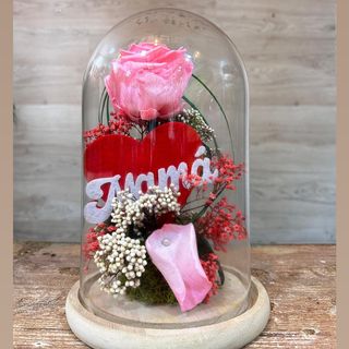 CÚPULA DÍA DE LA MADRE ROSA