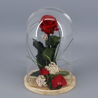 CÚPULA DE ROSA ETERNA ROJA