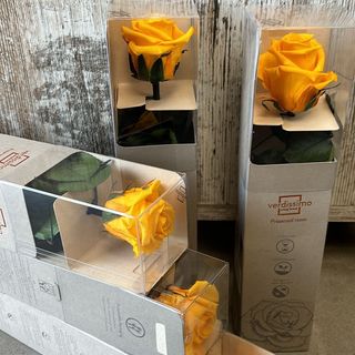 ROSA ETERNA TALLO CORTO AMARILLA