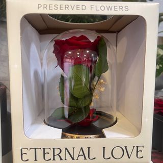 CÚPULA DE ROSA ETERNA ROJA PEQUEÑA