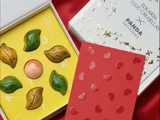 Colección bombones LLUC CRUSELLAS x PANDA PATISSERIE