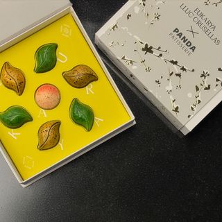Colección bombones LLUC CRUSELLAS x PANDA PATISSERIE