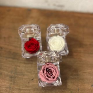 Cofre con rosa liofilizada COLOR BLANCO