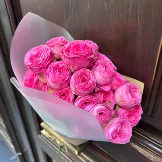 PAQUETE DE ROSAS DE JARDIN