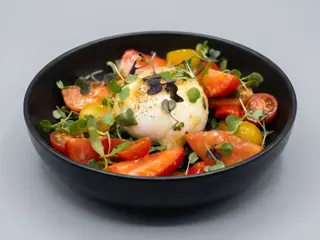 Burrata
