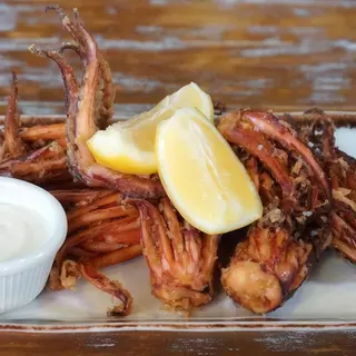 Ración De Patorras De Calamar Rebozadas