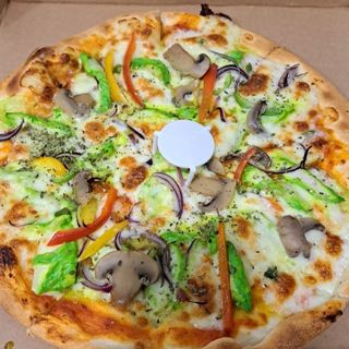 201 Pizza Chicken Garlic Tikka Grill