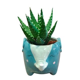 Elefante azul
