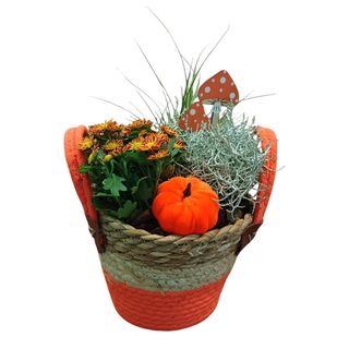 Cesta otoño