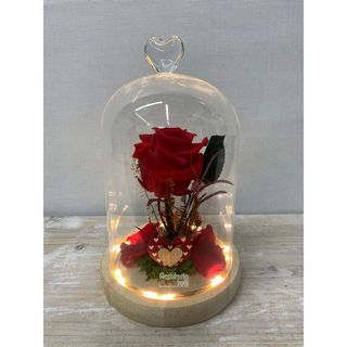 Cúpula Rosa eterna Corazón con Luz