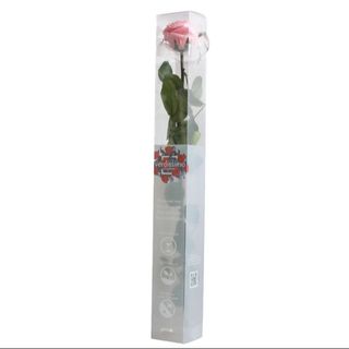 Rosa Preservada en estuche ROSA