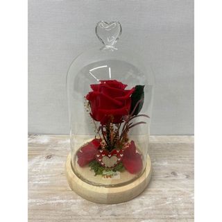 Rosa preservada calidad extra en estuche.