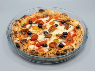 Oplontina 