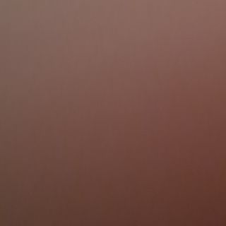 Calamars A L'Andalusa