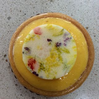 Mini Tartaleta Trópico