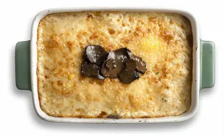Lasagna Tartufata