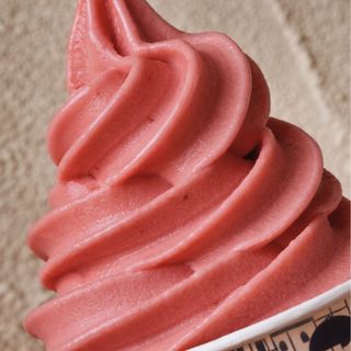 Sorbete de temporada (500 Ml.)