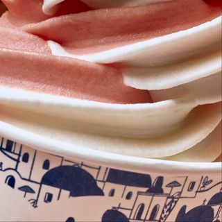 Helado Mixto Sorbete (500 Ml.)