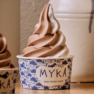 Helado Mixto Yogurt Temporada (500Ml.)