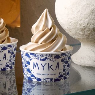 Helado Mixto Yogurt Temporada (500Ml.)