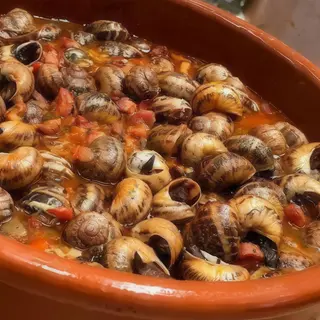 Caracoles