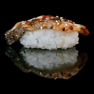 Nigiri Anguila.