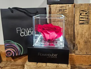 Cube Premium GRANDE