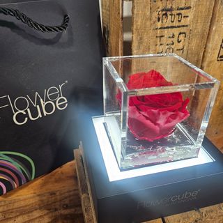 FlowerCube Mediana