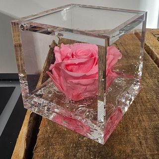 Rosa Cube premium con aroma a rosas