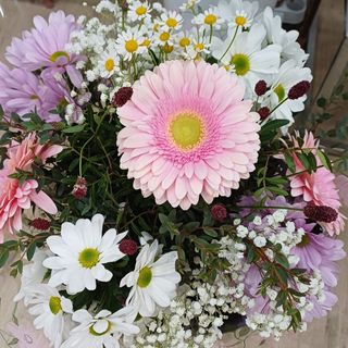 OFERTA RAMO SOLO HOY