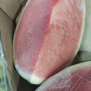 SANDIA 1/4 