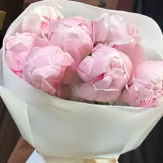 Pink Aura