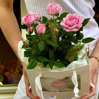 Rosal Rosado