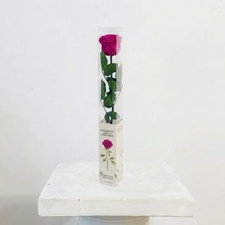 Rosa Fucsia Eterna Preservada